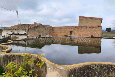 Landejendom i Almansa, Albacete, Almansa - € 125.000 | Ref: SF0553 - foto 16